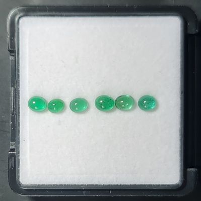 לוט 6 אבני אמרלד זמביה מלוטשות, משקל 3 קראט, שקופות ונוצצות, מגיעות בקופסת תצוגה עם 