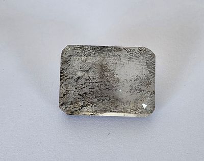 אבן דנדרייט נדירה מלוטשת, משקל 75.6 קראט, גדולה, צמחים ועולם פנימי עשיר בתוכה, מגיעה 