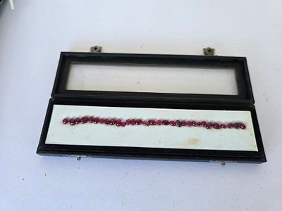 לוט 31 אבני רובי מלוטשות, משקל 25 קראט, מגיעות בקופסת תצוגה עם תג מחיר של 35$ לקראט 