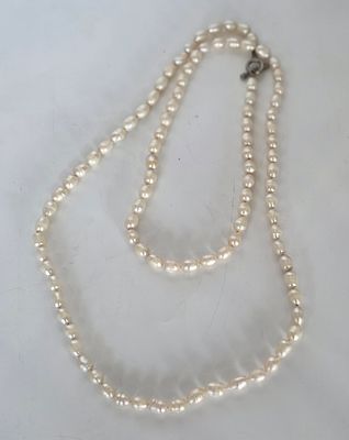 מחרוזת פנינים אמיתיות , אורך במצב סגור 50 ס"מ , גודל פנינה ממוצעת כ 1X0.6 