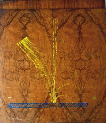 עידו בראל - טכניקה: ציור על דלת של ארון מידות: 86X75