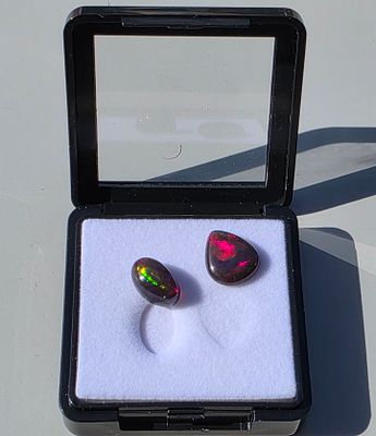 שתי אבני אופל אוסטרלי מלוטשות, משקל 6.5 קראט, מגיעות בקופסת תצוגה עם תג מחיר של 500$ 