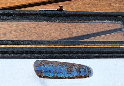 אבן אופל שחור בולדר אוסטרלית מלוטשת, משקל 45.37 קראט, נדירה, נוצצת בצבעים נהדרים 