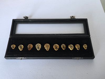 לוט 10 אבני טופז צהוב מלוטשות ומגולפות בצורת עלים, משקל 54.6 קראט, מגיעות בקופסת 