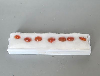 לוט 7 אבני ג'ייד מלוטשות, משקל 10 קראט, צבע נדיר, מגיעות בקופסת תצוגה עם תג מחיר של 