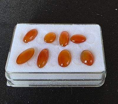 לוט 8 אבני ג'ייד מלוטשות, משקל 15.5 קראט, צבע נדיר, מגיעות בקופסת תצוגה עם תג מחיר 