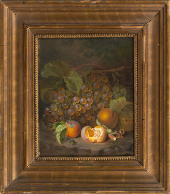 Lach, Andreas, Still life with beetles and a butterfly. Лач, Андреас, Натюрморт с жуками и 