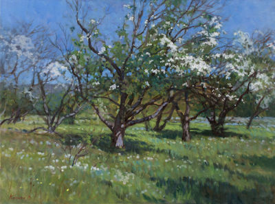 Копняк Валерий. Цветущие яблони, 2012г., 60х80см., х\м. Родился 1982 году в городе Пенза. В 2009 