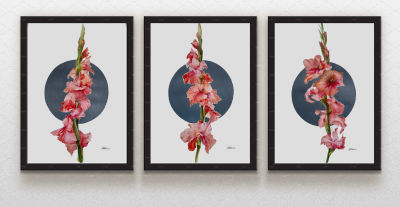 Мусатова Елена. Триптих из трех гладтолусов. 2024г., формат А3, бумага, cмешанная техника. 