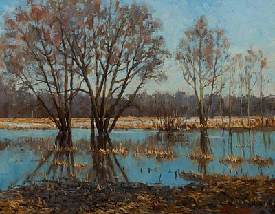 Гололобов Евгений "Весенний разлив" 2008 г. 35х45 см, холст, масло. Оформлена в красивую раму. Е 