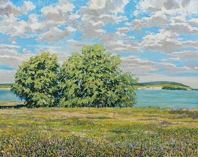 [Большой формат] Доний Игорь Петрович "Плывущие облака" 2010 г. 80х100 см, холст, масло. Игорь 