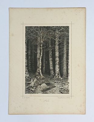 ТОП-ЛОТ! А.И. Куинджи "Лес". Гравюра из коллекционного собрания "Рисунки русских художников. 