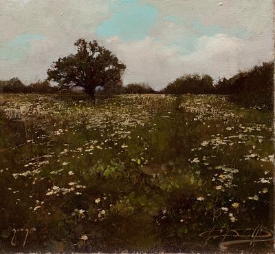 Коробков Денис "Ромашки" 30х30 см, 2009 г. Холст, масло. Оформлена в раму.