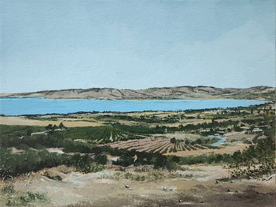 אסף שני. פוריה,
אקריליק על בד,
30x40 ס"מ.
חתום.