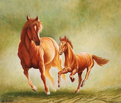 אבי בלאיש. סוסה וסייח, 
אקריליק על בד, 
60x70 ס"מ. 
חתום.