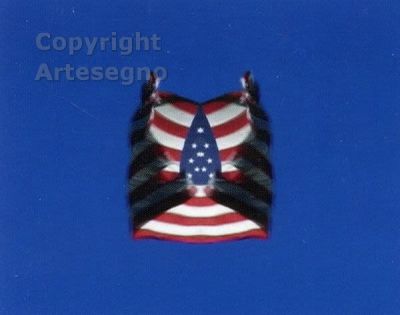 Stefano Cagol (1969) - Lambda print on perspex FramedPhoto-certificate signed by the artistSigned 