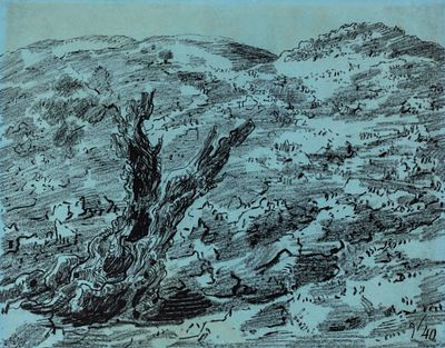 ליאופולד קרקאור Leopold KRAKAUER (1890-1954) - עץ זית בהרי ירושלים, 1940. רישום פחם , חתום ומתוארך 