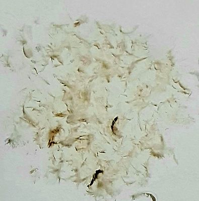 דני קרוון-DANI KARAVAN - מחווה לחנוך לוין. הדפס משי חתום וממוספר מתוך 60 עותקים , גודל 102X78 ס"מ. 