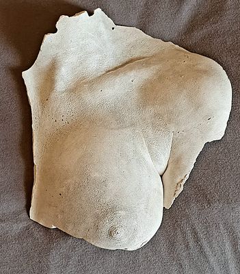 Gabor T&Ouml;R&Ouml;K 1952 - Br&uuml;ste. Unique, Plaster 25X20 cm .signed. 
Sammlungen 
Rolf Arnold 