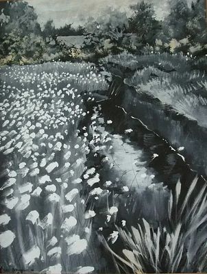 Patric STEVENSON (1909-1983)- פטריק סטיבנסון-אמן אירי - Bog Cotton, County Fermanagh (Near 