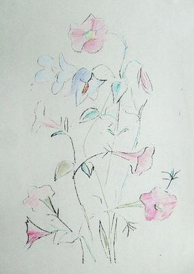 Неменова Г. Цветы 40,3х42.2 х 29,8х30.8(р.и.) (4) (2)