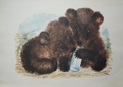 Чарушин Е.И 1935г. бумага, офсетная литография - печать 1973 год. литография. 28.0 х 