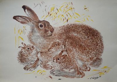 Чарушин Е.И 1935г. бумага, офсетная литография - печать 1973 год. литография. 28.0 х 