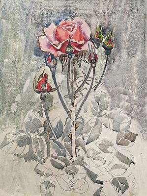 :
Е. Скуинь "РОЗА", бумага акварель 36-48, 1985 год.