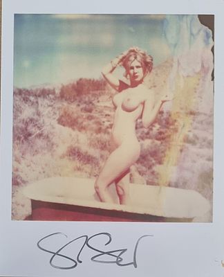 SCHNEIDER STEFANIE Germania 1968 "Senza titolo" - SCHNEIDER STEFANIE Germania 1968 