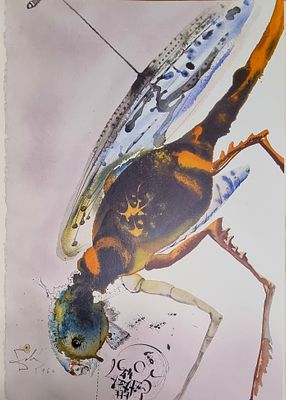 DALI' SALVADOR Spagna 1904 - 1989 "Biblia Sacra - Vulgatae Editionis" - DALI' SALVADOR 