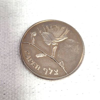 מדליה חיות הבר בישראל משנת 1990
. מדליה חיות הבר בישראל משנת 1990 
לילית וצלף