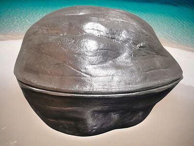 קופסת מתכת בצורת אגוז גדול או תבנית עוגה 13 ס"מ 
גודל - כ- 
(13 ס"מ) x (12 ס"מ) x (5 ס"מ) - 