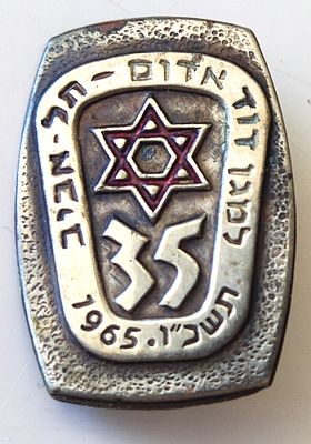 35 Years To Magen David Adom Tel Aviv- 1965 badge. 35 שנה למגן דוד אדום תל אביב - תג 1965. 
