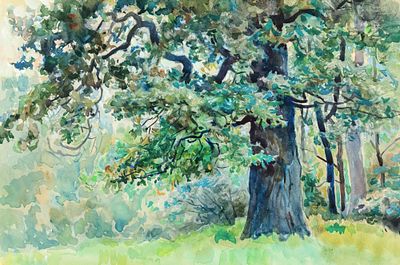 Морозов Константин Феофанович (1894-1990). Старый дуб. Последняя треть ХХ века. Бумага 