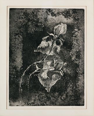 Плавинский Дмитрий Петрович (1937-2012). Ирисы. 1970-е - 1980-е. Бумага, офорт. 50 х 40,5 см. 