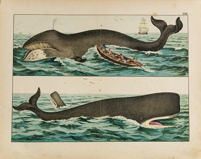 Неизвестный художник. Западная Европа. Китобойный промысел. Иллюстрация для книги Г.Г. фон 