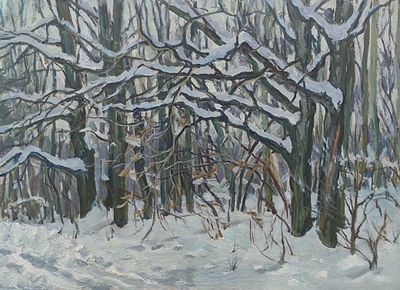 Дмитриев О.А. "Заснеженный лес близ Тарусы" 1970-е годы. РР23 Картон, масло. Размер 37х52 см. 
