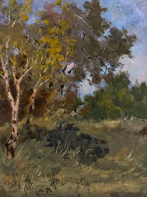 Подколзин А.А. "В плавнях Днепра" 1970 год. МР23 Картон, масло. Размер 46х35,5 см. Александр 