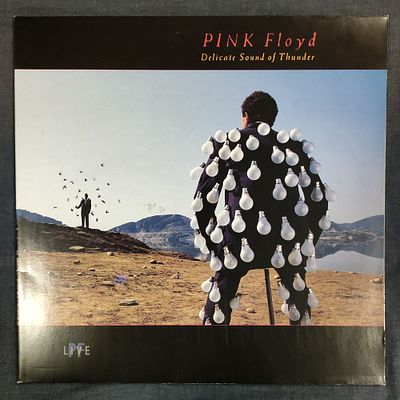 Pink floyd. Delicate sound of thunder.2LP. 1988. Holland. NM