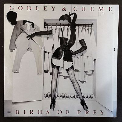 Godley & cr&egrave;me. Birds of prey. 1983. Germany. NM