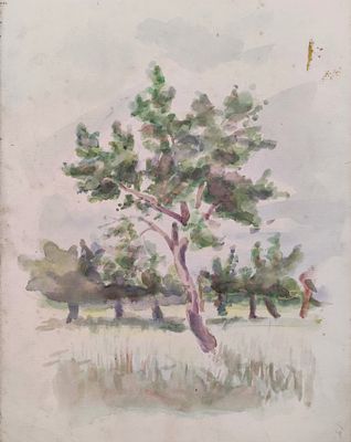 Солоницын А.П. 1940-е годы. ГЗ23 Бумага, акварель. Размер 27,5х22 см. Солоницын Аркадий 