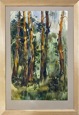 Цыплакова Т.Ю. &laquo;Сосны&raquo; 1978 год. Бумага, акварель. Размер 50,5х32,5 см. Татьяна Юрьена 