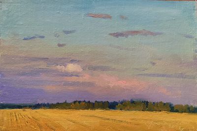 Гололобов Е.В. "Вечер над полем" 2024 год МР23 Картон, масло. Размер 20х30 см. Гололобов 