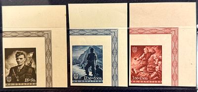 Хорватия. Черный легион. С угловыми полями. 1944 год. **