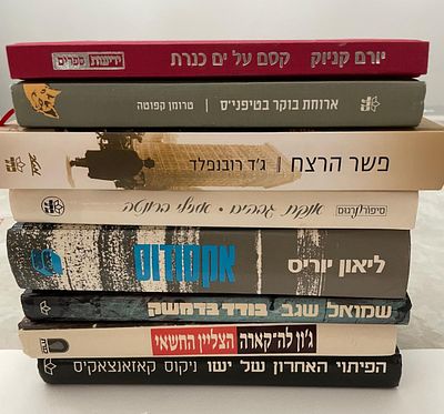 לאוהבי ספר. לוט ספרי קריאה, של מחברים שונים. כולם בכריכה רכה. במצב מצוין. לקט ראוי להצטייד בו 