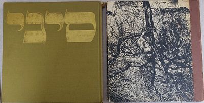 חקר ארץ-ישראל לוט שני אלבומים האחד, נדיר. "אלבום סיני" המדבר מתואר על ידי עזריה אלון. יש הקדשה 