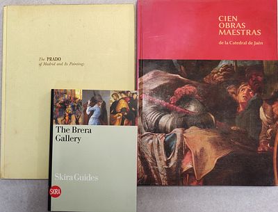 לוט ספרי אמנות אודות אמנות ספרדית: THR BRERA GALLERY. בכריכה רכה משנת 2010. יש כיתוב בעמוד 