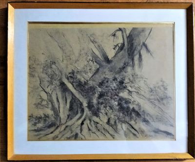 אמן לא ידוע. פחם על נייר. "עץ רב שדה בשנים". ממוסגר. מידות: 44X35 ס"מ.