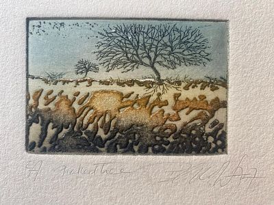 שילה בנואו SHEILA BENOW (ילידת 1939 - ). תחריט צבוע ביד. אמנית אמריקאית - ציירת ויוצרת הדפסים. 