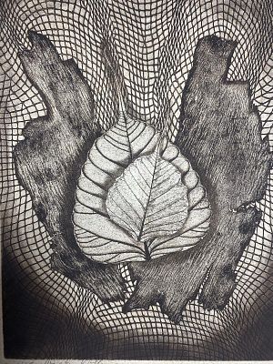 אריה רוטמן ישראל-אוסטריה (1921-2007) ליטוגרפיה חתומה וממוספרת 17/65. "עלים". מידות: 53X37 ס"מ.